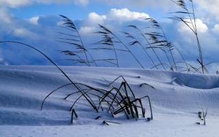 Lume- ja tuulekoormus